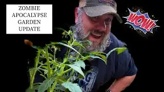 BIDENOMICS GARDEN UPDATE 🥒🍅🥬 ONE STEP CLOSER TO BEING PREPARED FOR THE APOCALYPSE