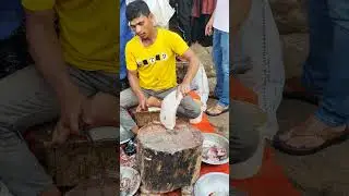 Amazing Big size of coral fish cutting #shorts