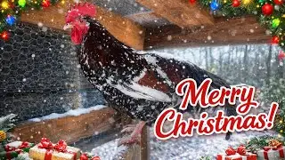 🎄🎁Rude-y/Rudy Shenanigans: Merry Christmas Everyone🎄🎁