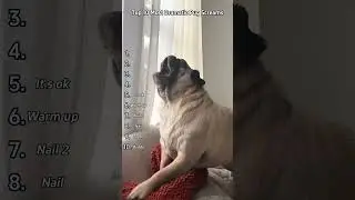 Top 10 Most DRAMATIC Pug Screams Ever!(Number 7 Broke Me)🐾🤣🤣
