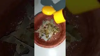 பிரியாணி இலை இருந்தா சூப்பரான கொசு விரட்டி ரெடி/natural mosquito repellent idea/mosquito repellent