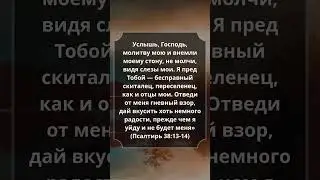 Псалтирь 38:13-14 #Библия #Евангелие #СтихДня #Псалмы