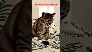 Tech glass  артикул 492436257