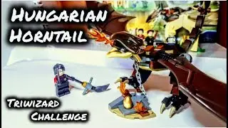 LEGO Harry Potter: Hungarian Horntail Triwizard Challenge (75946) Speed Build