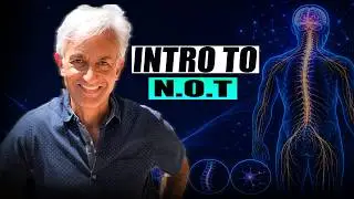 Intro to Neural Organization Technique (N.O.T.) | Dr. Sheel Tangri