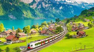 Relaxing Background Instrumental Music 🎵🌳 Calm Sounds for Working, Resting and Stress Relief 🌿