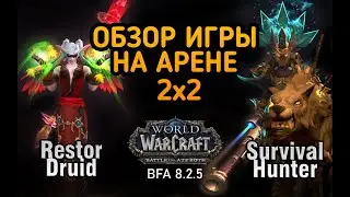 Арена за Рестор Друида 2х2 | DRUID RESTOR & HUNTER SURV | BFA  8.2.5