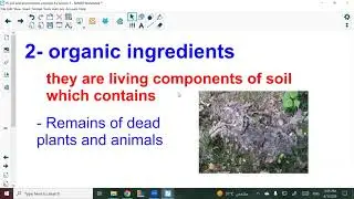 16 soil and environment concept 4 2 lesson 2 By Mr. Amr Rahal