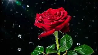 THE MAGIC SEASONS, Fun song, kids videos for kids, kids songs, kids cartoons, kids tv, kids movies