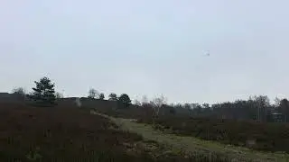 Goosky S1 max Rotorflight FlywooF405nano Goku part 2