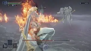 Cooking Everdark Balancers with a crit build Wylder - Elden Ring Nightreign