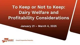 To Keep Or Not To Keep:Dairy Welfare and Profitability Considerations. Maximizing Harvest Value