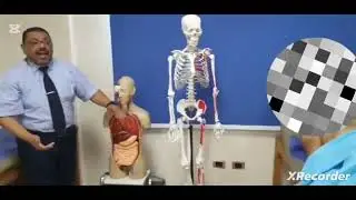 Palpatory assessment of thoracic cage for physical therapy students and chest physical therapists
