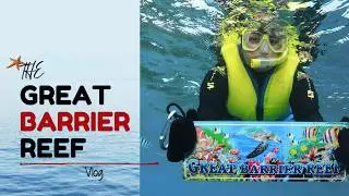 Snorkelling & Diving The Great Barrier Reef | Vlog - Australia's Underwater Paradise