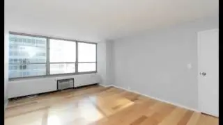 3550 N Lake Shore Dr 801