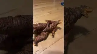 King of the monsters vs Glastier