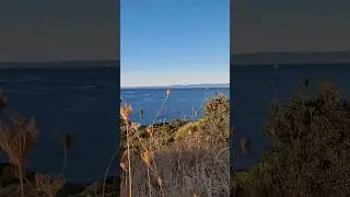 Chalkidiki - Sithonia,  у дороги Халкидики - Ситониа