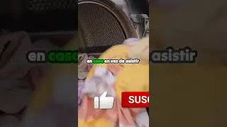 ALQUILA lavadoras y secadoras y GANA DINERO #shortsviral #shorts