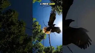 🦅🐍✨ Hawk vs Snake | Dramatic Jungle Rescue | Eagle Eggs Saved |  #wildlife #animalrescue #kindness