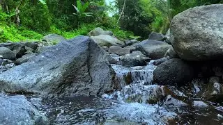 River Sounds for Focus and Productivity | Calming Water Flow Ambience