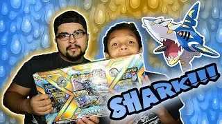 Mega Sharpedo EX Premium Collection Box