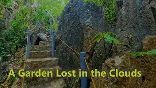   Walking Tour of Remote Island Garden with Plants Growing Out of Rocks