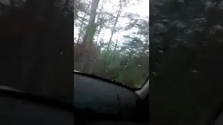 Fuck antifa