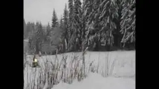SKUTERY podszkle