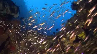 Tulamben Wreck Divers, Bali, Indonesia