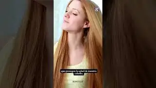 Diferencias entre un shampoo sin sal y sin sulfatos