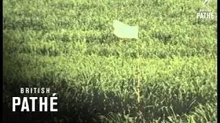 Aerial Crop Spraying (1972)