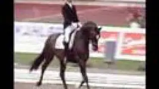 Dressage & Jumping - Kiss the girl || Ashley Tisdale