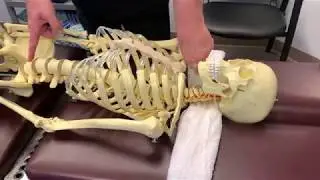 After Hours Ring Dinger&reg;  The Ring Dinger&reg; Introducing Bones A Must Watch Video #TeamRingDinger!