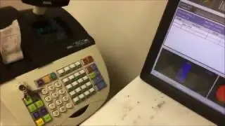 Lil Magic Laser Identification System
