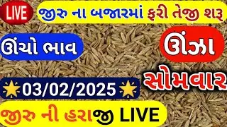 Jeera na bhav | 03-02-2025 | જીરું ના ભાવ:2025 | live cumin trading in  APMC | commodity Trend