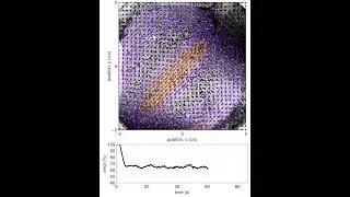 Feedback Control of Magnetohydrodynamic Flow Using Data-Driven Methods: Experiment #2
