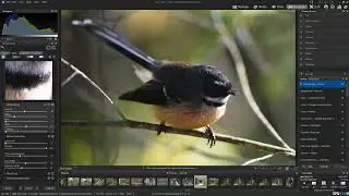How to edit your photos in ACDSee Ultimate 2022