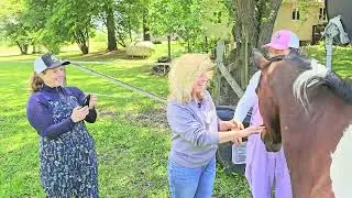 The Horse Had Other Plans&hellip; More Bloopers at Second Chance Ranch! | Barn Besties