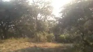 la mesa del ocote el picacho