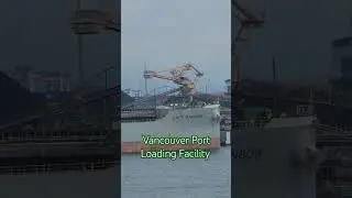 Watch The Marvelous Loading Process Of Ships At Vancouver Port!