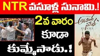 Aravinda Sametha 2 Weeks Collection Worldwide | NTR Movie Records at Box Office | ASVR Gross & Share