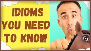 Horse idioms and phrases you need to know 🐴