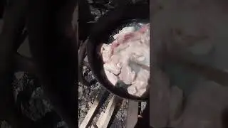 Pollo al disco