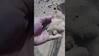 الفدان ٣٥ألف شامل البئر وطاقة والشبكات والسكن للاستفسار 01009554654/01220013039
