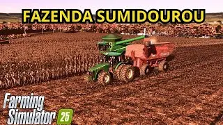 LIVE NO FAZ SUMIDOROU🚜 FS25