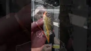Gabkor Custom Lures Manufacture Targi Rękodzieła Wędkarskiego EVOLUTION 2026!