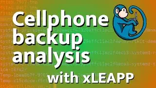 Анализ резервного копирования Android и iOS с использованием инструментов *LEAPP и инструментов на базе Linux