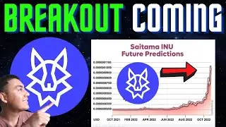 SAITAMA BREAKOUT FORMING - IT IS FINALLY HERE