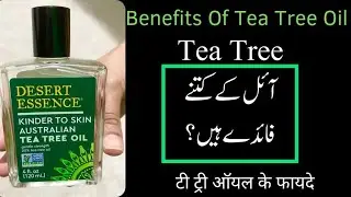 Benefits Of Tea Tree Oil | Tea Tree Oil Ke Fayde | टी ट्री ऑयल के फायदे | Urdu/Hindi | Miss Bfit