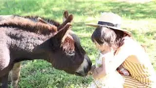 Glamping at Green Acres Austin with Regalo Baby